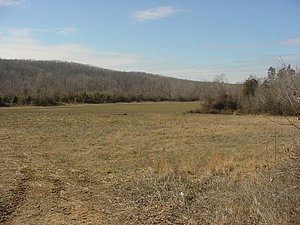 United Country - Terry Realty www.tennesseeland.com vacant land 19030 field