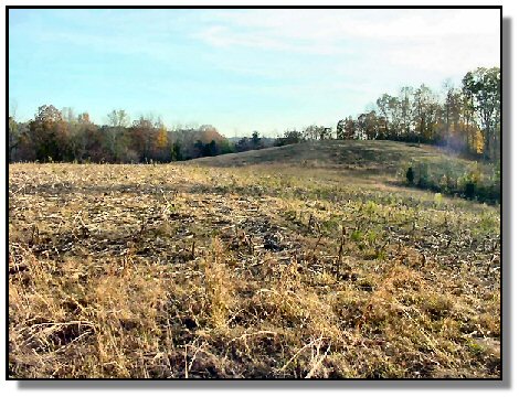 Tennessee Farm Property - 1650 -  one of the fields