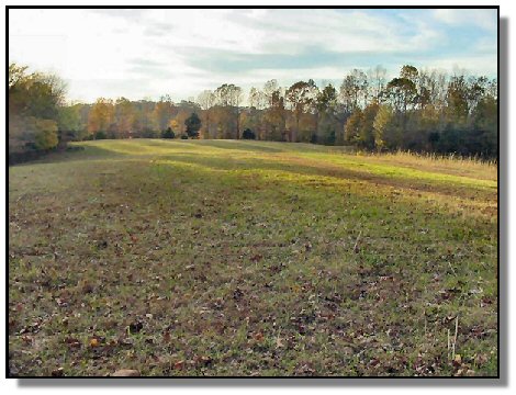 Tennessee Farm Property - 1650 -  one of the fields 2