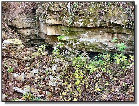 Tennessee Farm Property - 1650 -  partial view of cave-silver mine site center