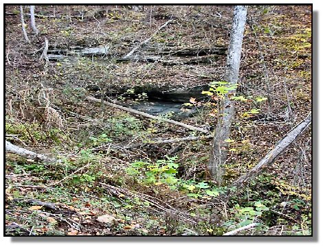 Tennessee Farm Property - 1650 -  partial view of cave-silver mine site right