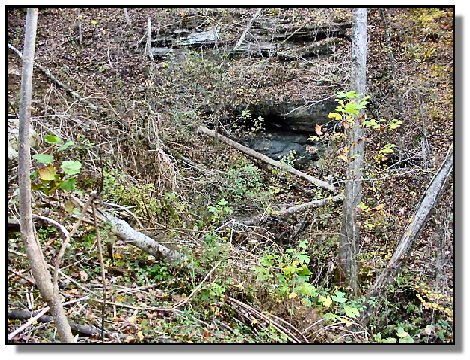 Tennessee Farm Property - 1650 -  partial view of cave-silver mine site right 2