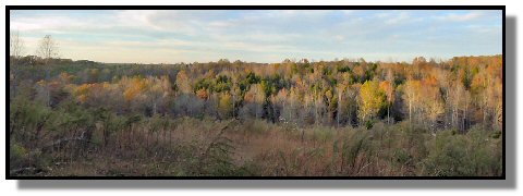 Tennessee Farm Property - 1650 -  panorama view from upperf ield