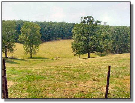 Tennessee Real Estate - Farmette Property - 1582 - rolling fields-3